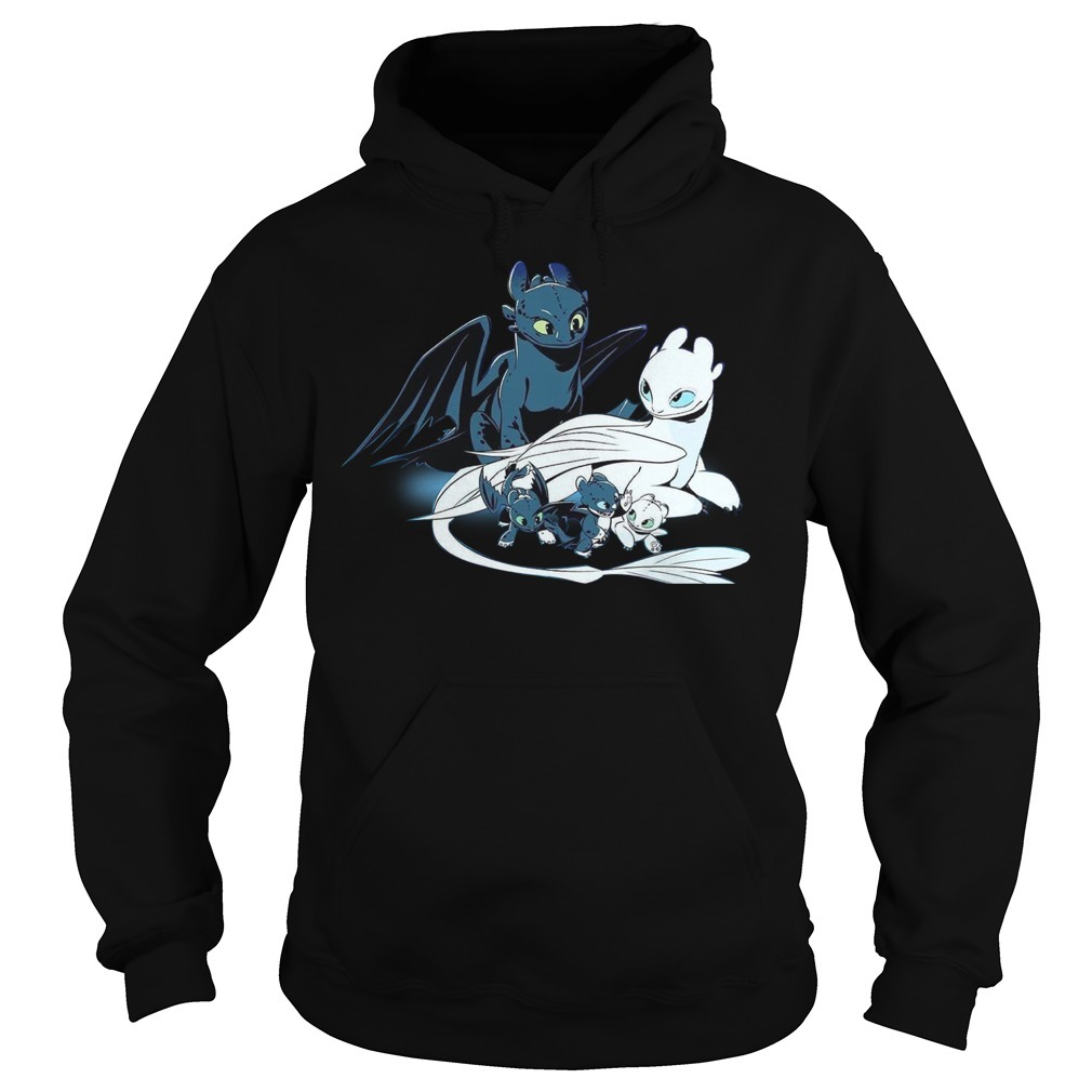 Night fury and hot sale light fury hoodie